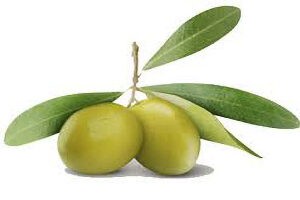 Aceitunas
