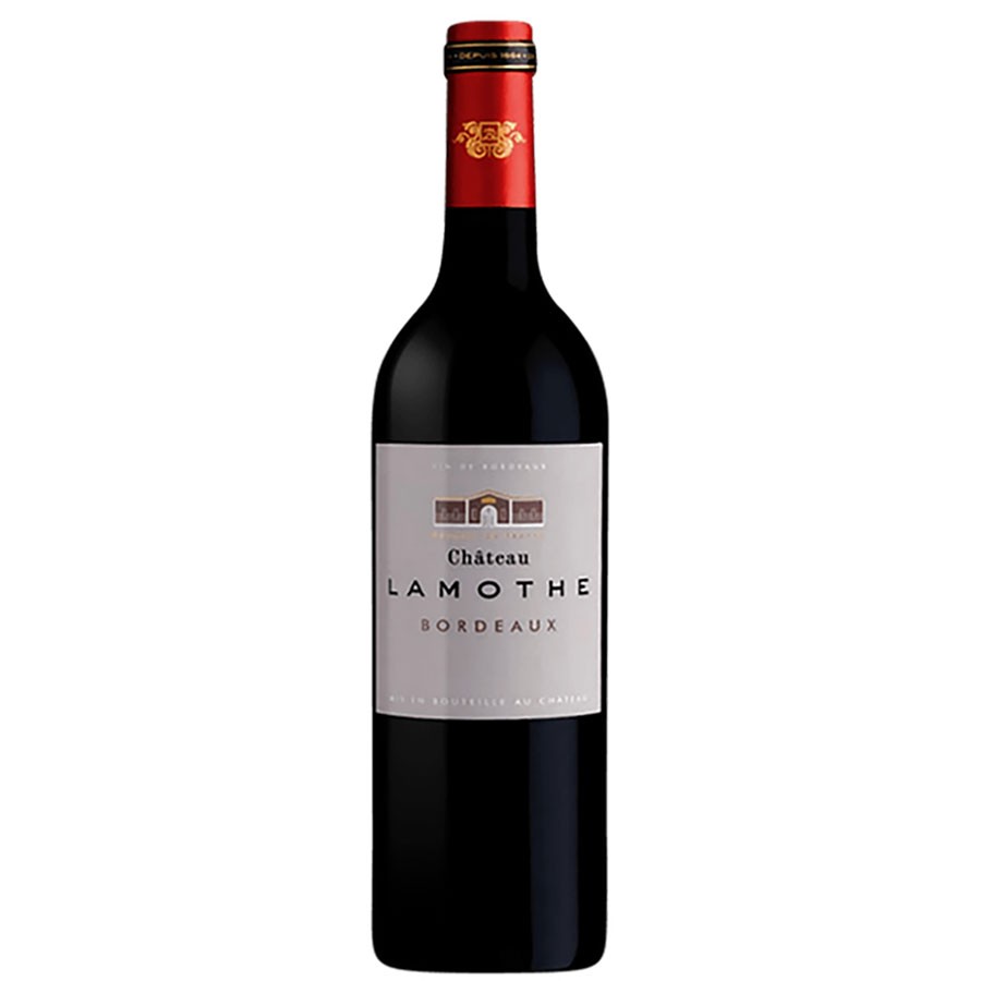 chateau lamothe chateau